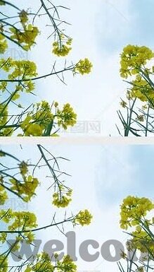 芬兰足球队比分-芬兰足球队比分，从默默无闻到国际赛场的有力发声
